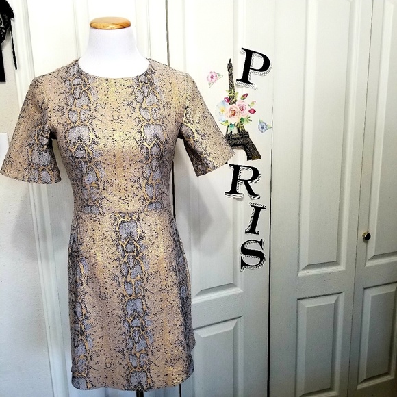 🎉Host Pick 🎉TOP SHOP Snake Skin Gold Metallic Dress size 4 - Picture 4 of 8